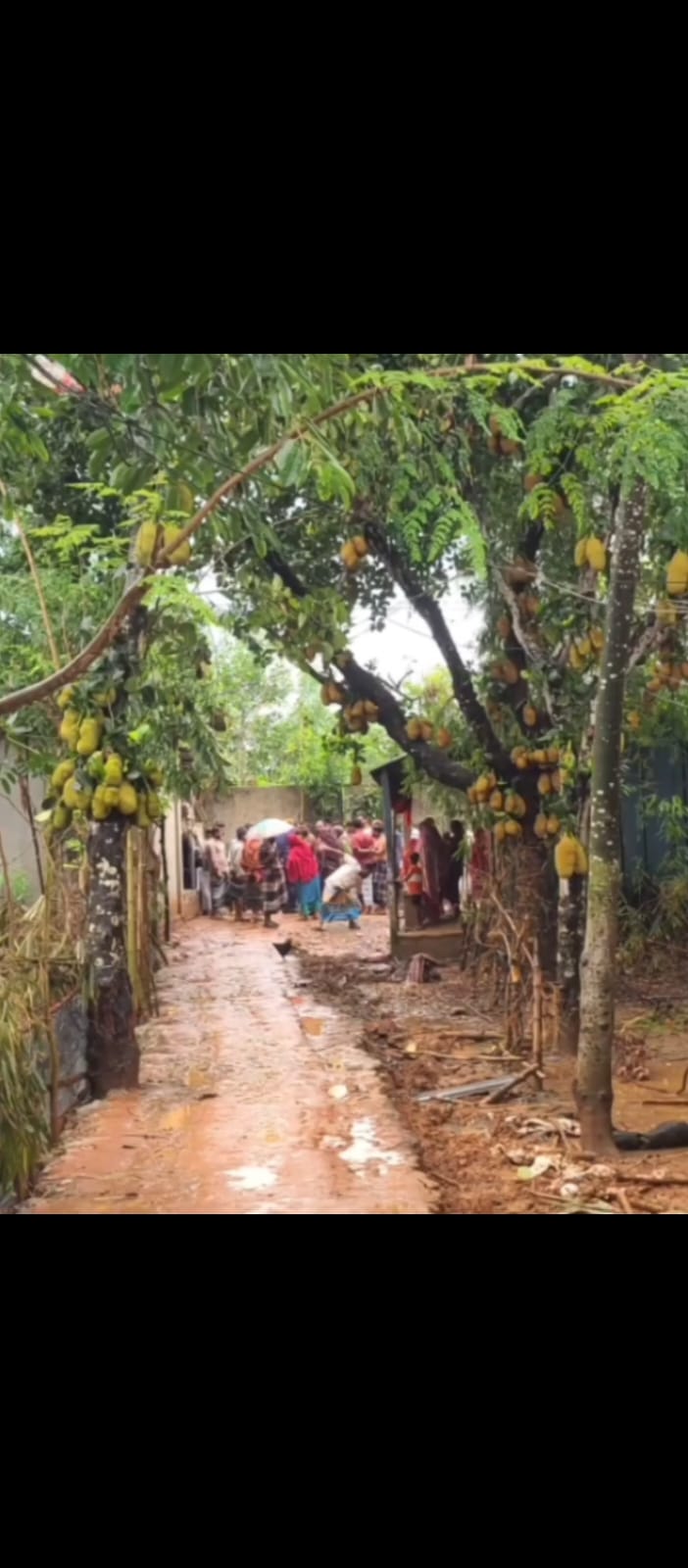 শ্রীপুরে চলাচলের রাস্তা কেটে ফেলায় চরম উত্তেজনা!
